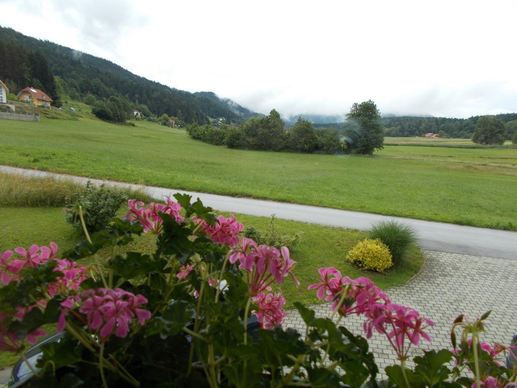 Apartment Rozika Slovenj Gradec Exteriör bild