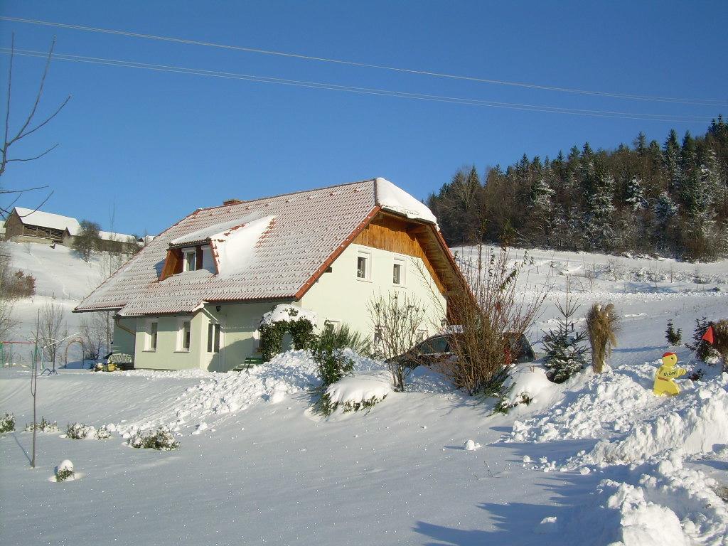 Apartment Rozika Slovenj Gradec Exteriör bild