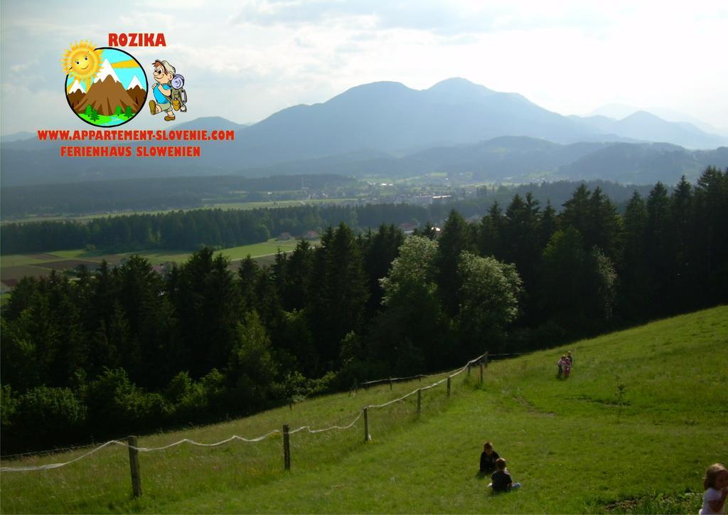 Apartment Rozika Slovenj Gradec Exteriör bild