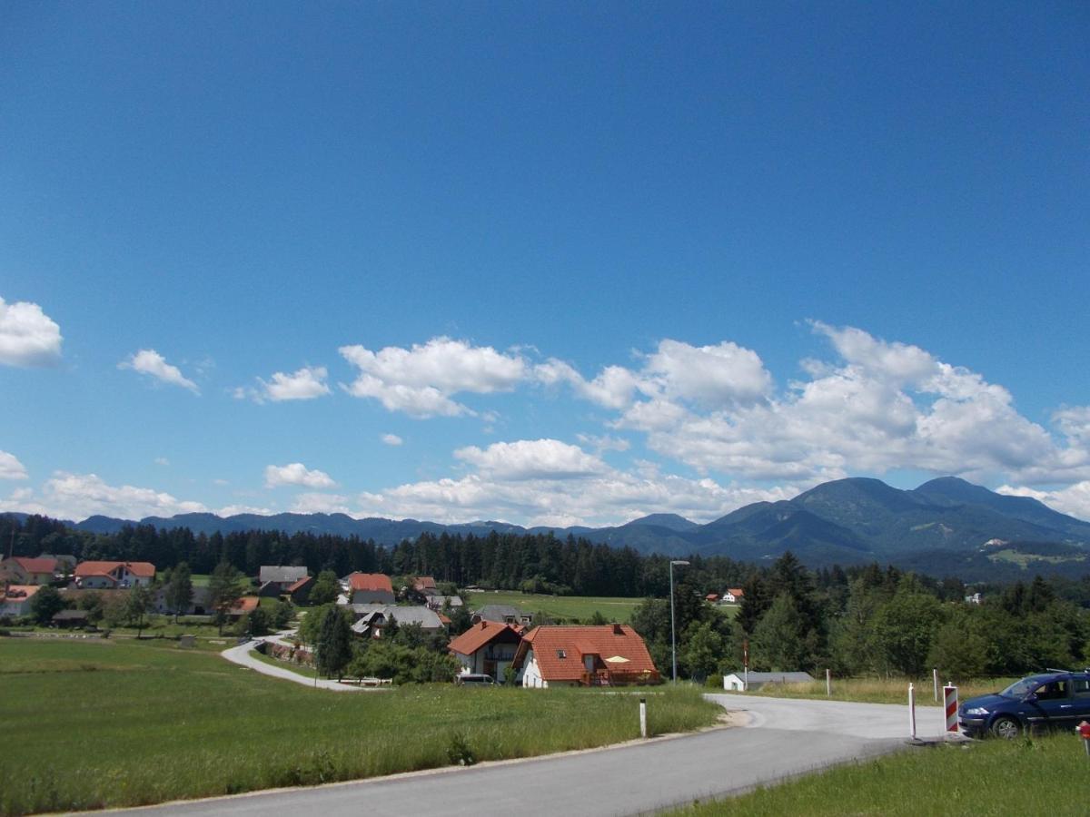 Apartment Rozika Slovenj Gradec Rum bild